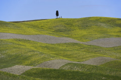 Val-d-orcia3