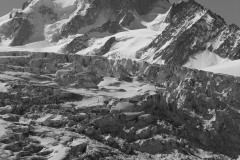 c23-Chardonnay_bw