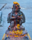 DSC_3065