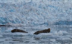 DSC_4504