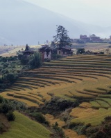 Bhutan_Reis